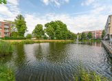 Koop  Nijmegen  Octaaf – Foto