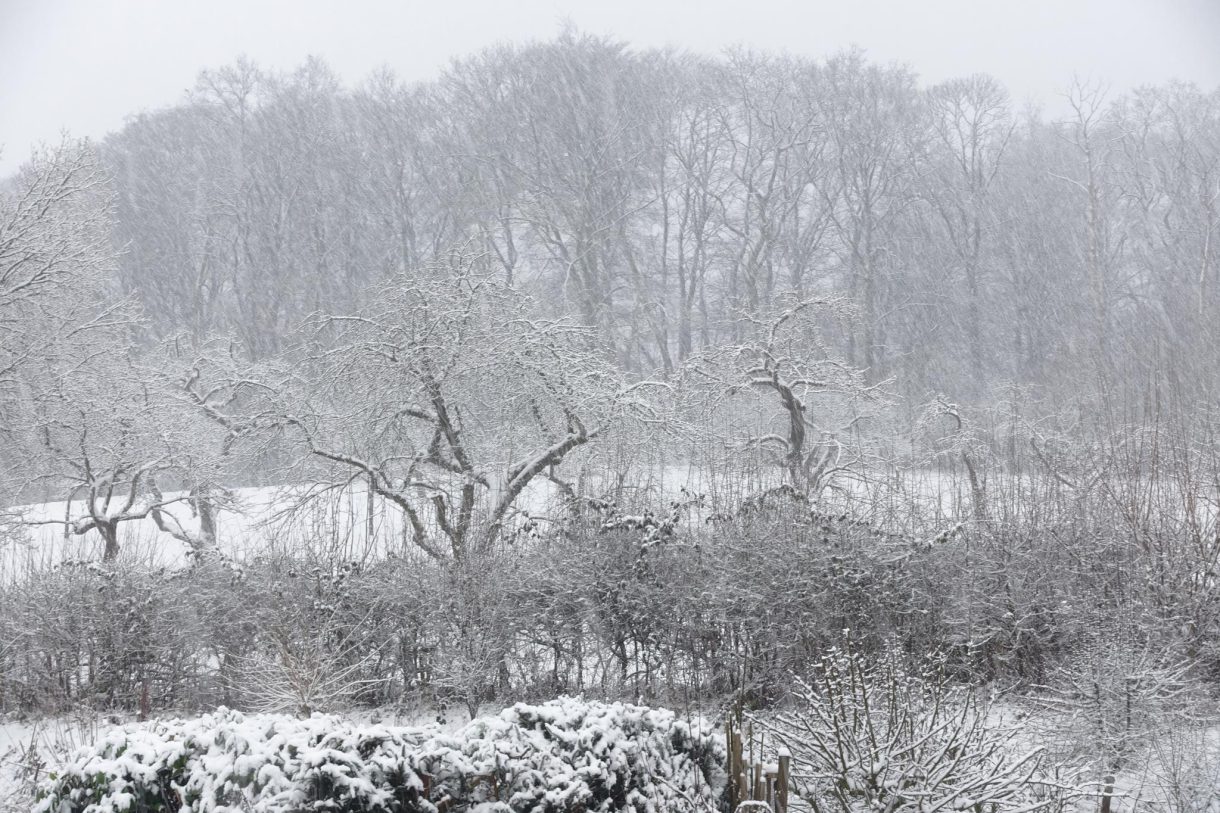 Te koop: Foto Woonhuis aan de Rijksstraatweg 333 in Beek