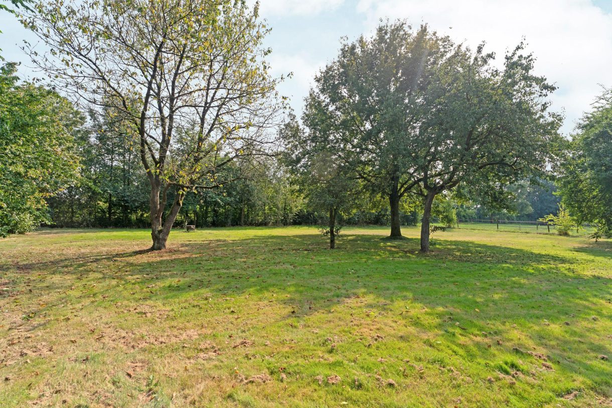 Te koop: Foto Woonhuis aan de Rijtjes 7 in Oeffelt