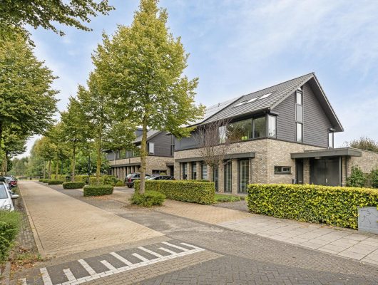 Hoofdfoto van Huissen Wapenschouw 2