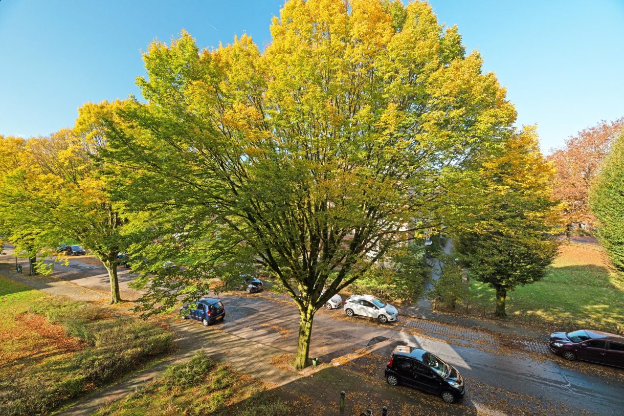 Te koop: Foto Appartement aan de Vossenlaan 349 in Nijmegen