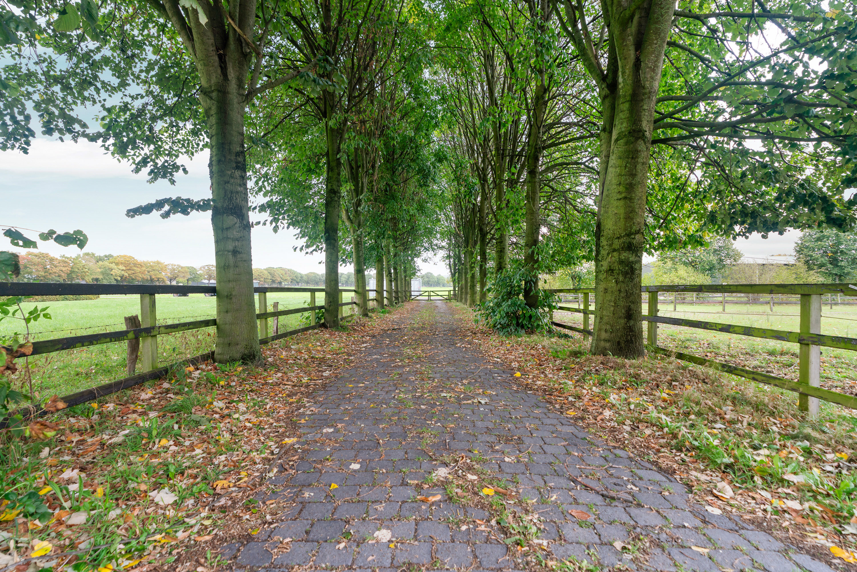 Te koop: Foto Woonhuis aan de Koningin Wilhelminaweg 45 in Groesbeek